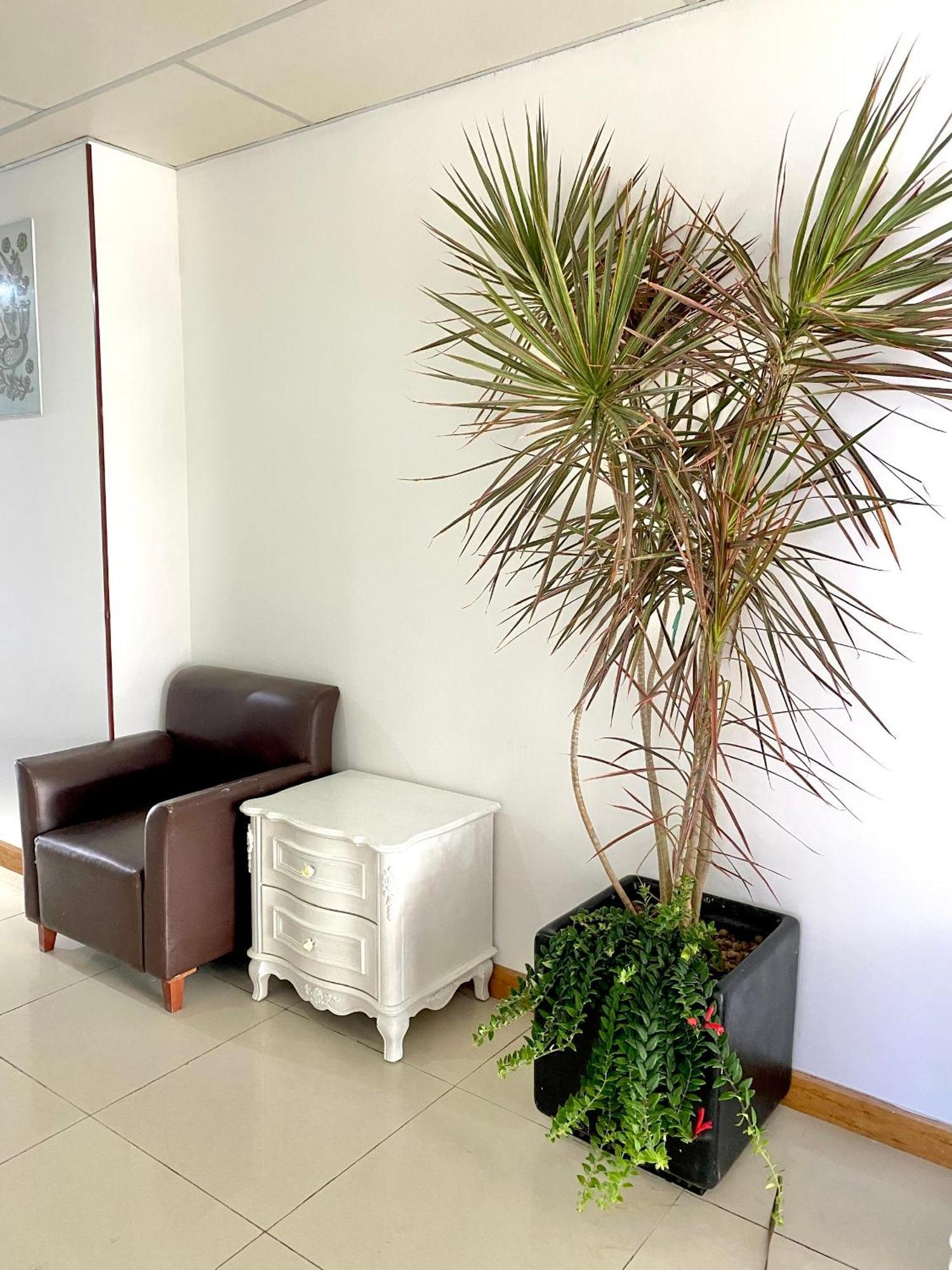 Zozo House - Homestay Bai Sau Βουνγκ Τάου Εξωτερικό φωτογραφία